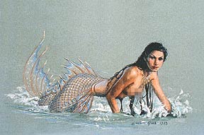 Mermaid - wonderful!