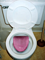 toilet tongue - toilet with tongue in it!