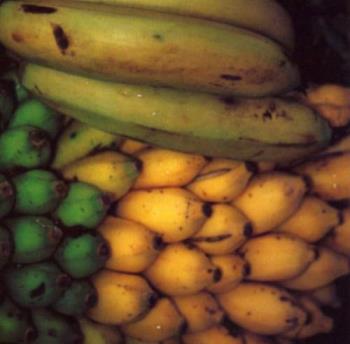 Banana inside my bag - Banana inside my bag all the time :-) Banana inside my bag - Banana inside my bag all the time :-)