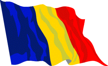 Romanian flag - Romanian flag