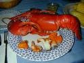 lobster - lob