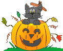 halloween - this is a pic about halloween a cat sitting on a big pumpkin