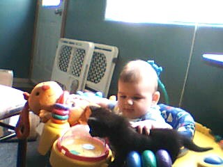 baby+kitty - jhb