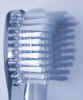 toothbrush - tooth brush