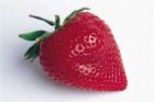 Strawberry - Pretty strawberry.