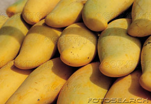 mangoes - mangoes in display