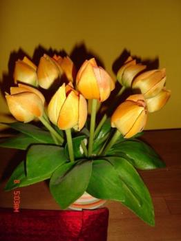 tulips - tulips