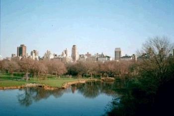 Central Park, New York City - This is a view of Central Park with buildings in the background. It was taken in December of 1999.