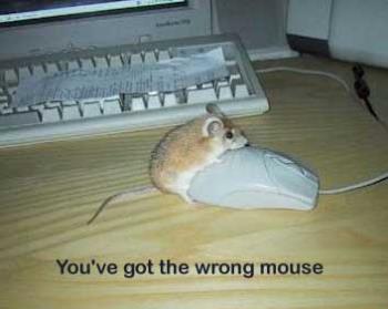 wrong mouse - Wrong mouse