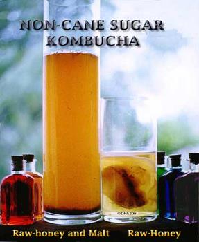 Kombucha - Honey Malt Kombucha