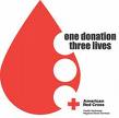 donate blood - donate blood