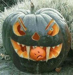 halloween Pumpkin for funny - wow big pumpkin 
