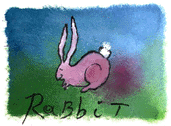 rabbit - rabbit