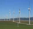 Wind farm - Wind Farm