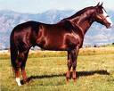 Dash Ta Fame - Leading race sire and barrel sire
