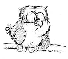 Disturbed Owl - A small disturbed owl