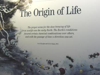 origin of life - this is a way in which the life has started on the earth.