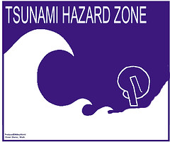 tsunami - tsuanmi