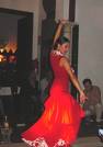 flamenco dancer - flamenco dancer