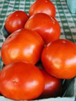 Tomatoes - Tomatoes are fruits... Tomatoes are good for our skin