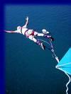 bungee jumping - bungee jumping