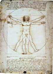 Vitruvian Man - Leonardo da Vinci&#039;s Vitruvian Man, an example of the blend of art and science during the Renaissance.