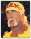 Wrestler - Hulk Hogan, wwf wrestling