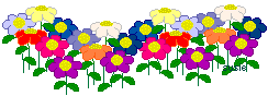 flower - bunch of flowers