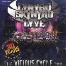 Lynyrd Skynyrd - a fantastic concert