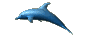 the dolphin - The fast dolphin
