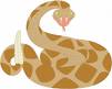 Rattle snake - Rattle snake