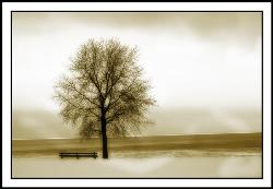 lonliness - this image has deep meanings inside it. the only thing it need an eye to view and understand its meanings that reflects the peaks of lonliness
lonliness - this image has deep meanings inside it. the only thing it need an eye to view and understand its meanings that reflects the peaks of lonliness