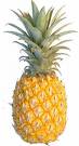 pineapple - pineapple
