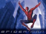 spiderman's web - Web spider