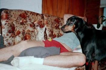 Kitten and Dog - Tabitha as a kitten is pictured here. She always liked to curl up on the couch with my husband and take a nap. My Doberman Tiffany would always come over and take a look at what was going on.