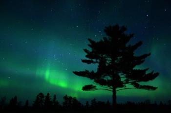 Northern Lights - So Beautiful