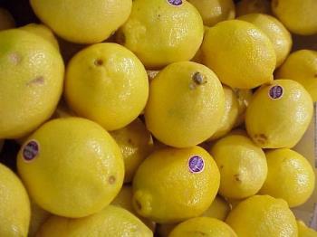 lemons - these are the rcipie items which are used in between the cooking of the dishes.these are availble in very monts of the year