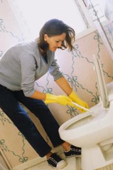 cleaning - cleaning toilet