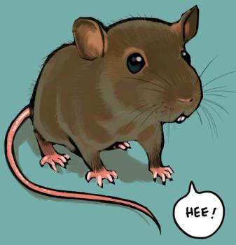 Rat - describes a poem about a person chasing rats out of the house