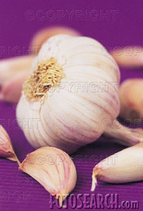 garlic - garlic