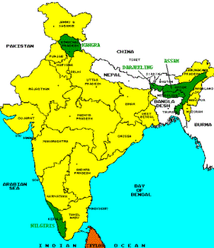 INDIA - INDIA