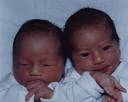 twins - twins twins - twins