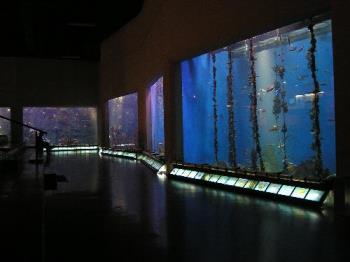 Aquarium - Aquarium