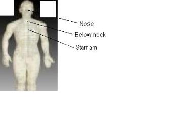 Human body top - Sketch of human body top side