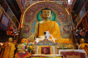 buddha - budda