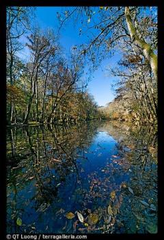 Wise Lake on a sunny day - a photo from Congaree National Park, South Carolina, USA