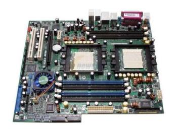 AMD Processor - Dual Processor AMD motherboard