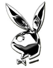 Playboy Bunny - playboy