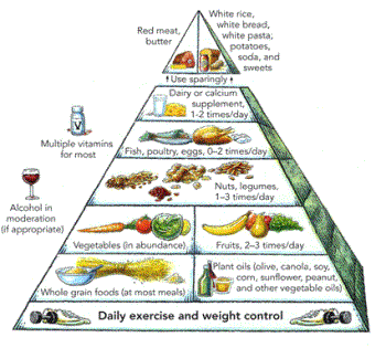 Food Pyramid - 
Food Pyramid