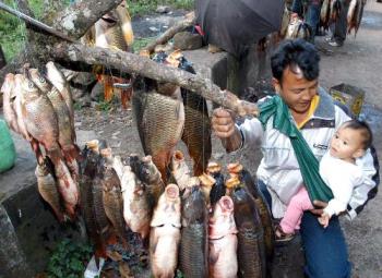 Khasis of Meghalaya selling fish - Khasis of Meghalaya selling fish